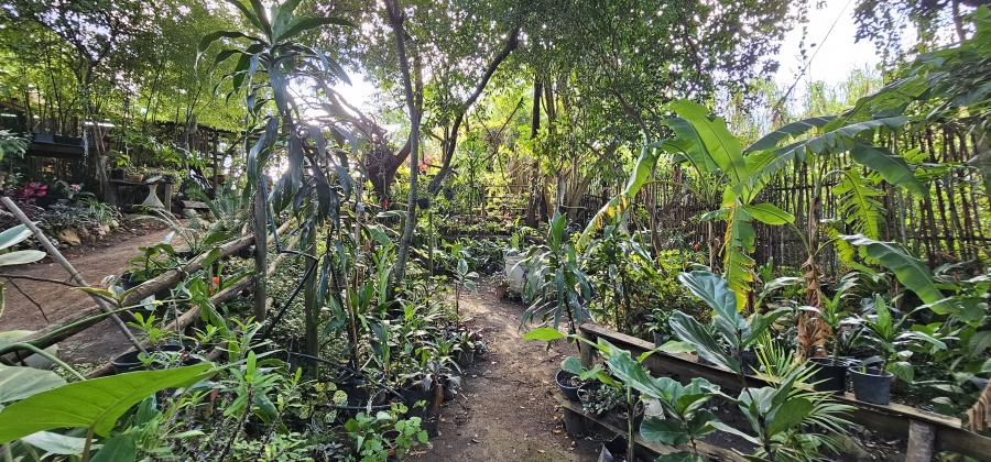 5 Bedroom Property for Sale in Swellendam Western Cape